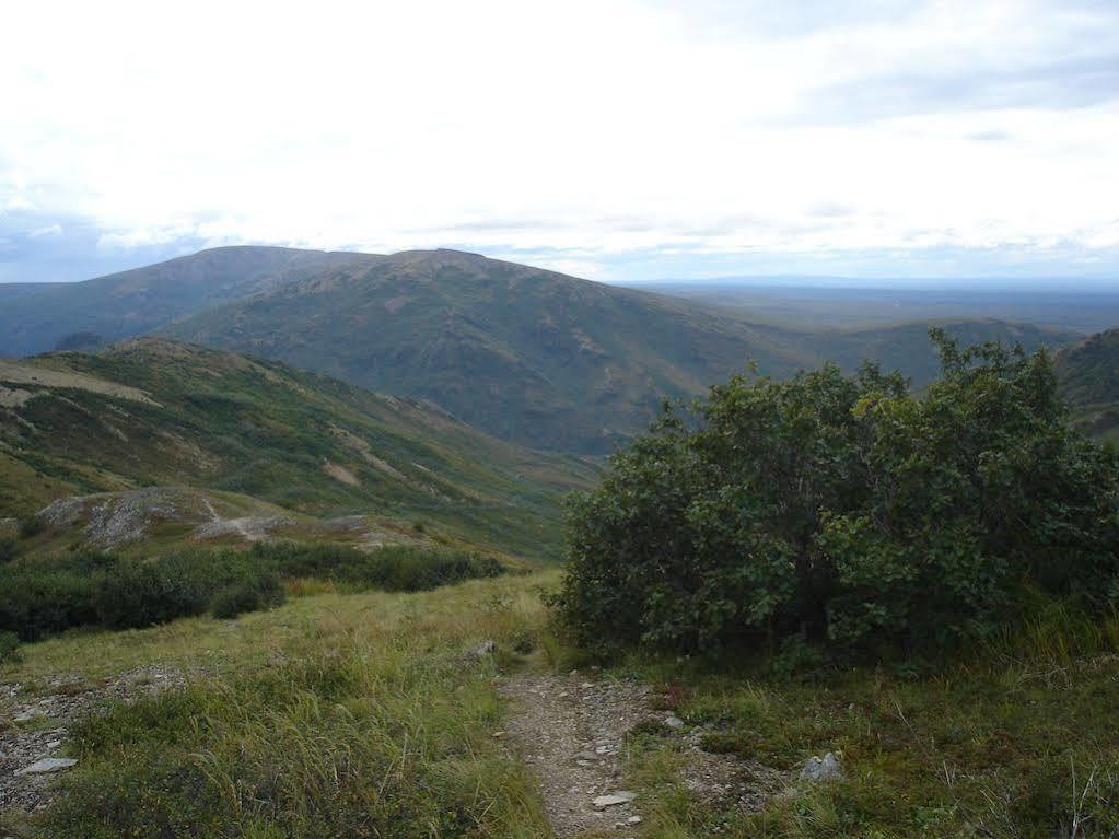 Denali Backcountry Lodge Zewnętrze zdjęcie